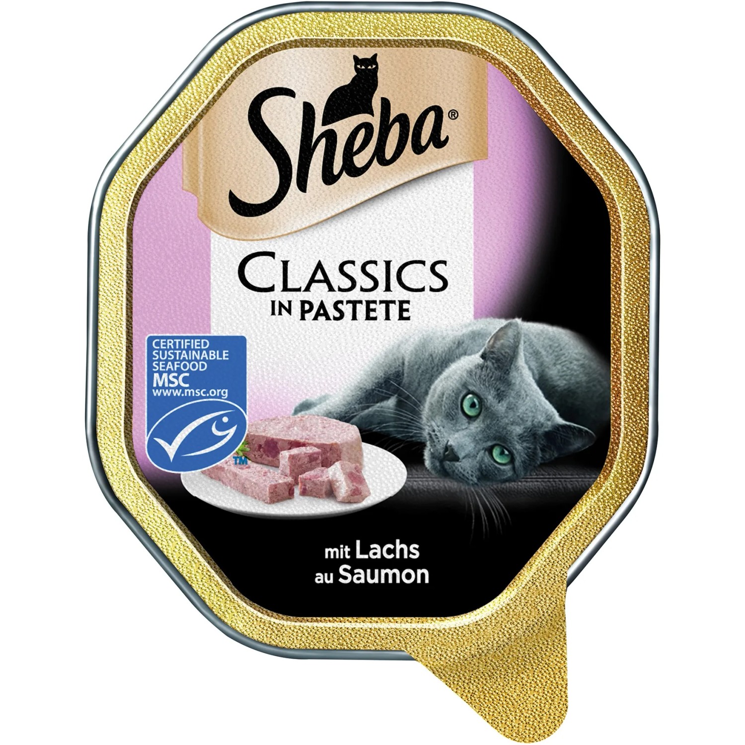 E-shop Sheba Paštéta pre mačky s lososom 1 x 85 g