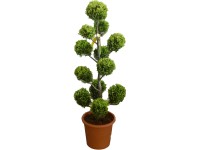 OBI Žltý cyprusovec leylandský 