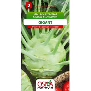Balíček semien pre bielu kaleráb 'Gigant', obľúbenú zeleninu do záhrady.