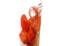 Floristický zväzok na majstrovanie oranžový