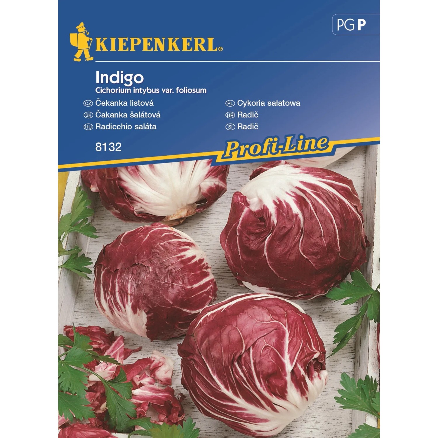 E-shop Kiepenkerl Čakanka šalátová Indigo