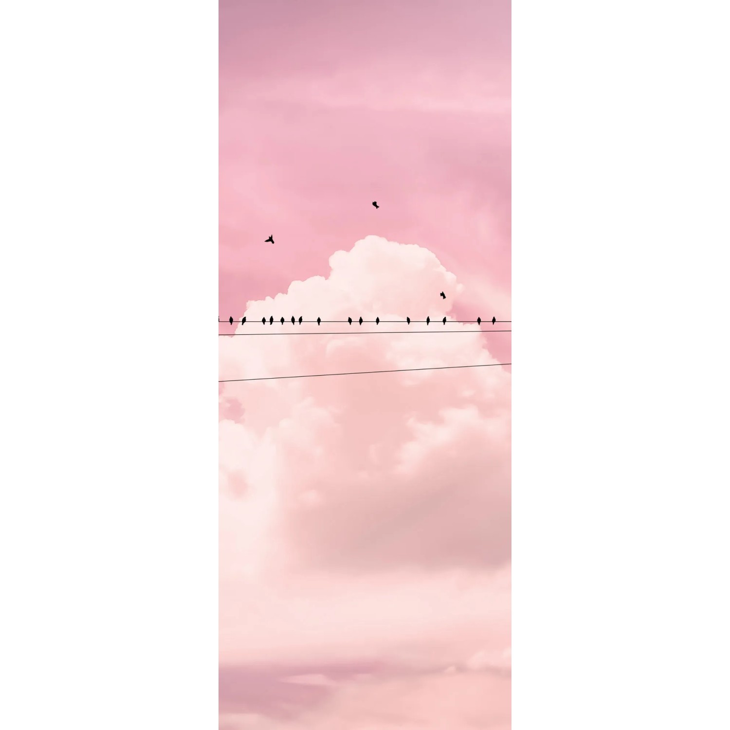 E-shop Komar Vliesová fototapeta Cloud Wire 100 x 250 cm