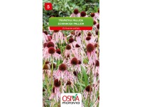 Osiva Moravia Semienka Echinacea Pallida (Echinacea pallida)