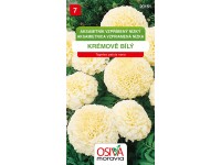 OSIVA Moravia Aksamitník vzpriamený nízky - krémovo biely (Tagetes patula nana)