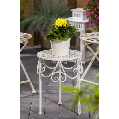 Royal Lemkes Georgína (Dhalia) "Dahlietta Margaret" výška 25-30 cm, pr. 12 cm