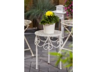 Royal Lemkes Georgína (Dhalia) 