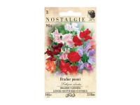 Nostalgie Hrachor voňavý popínavý zmes Nostalgie Hrachor voňavý popínavý zmes