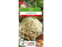 Aros Semená Zeler Alabaster (Apium graveolens L.)