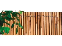 NOHEL GARDEN Rákosová rohož kávová 1 x 5 m