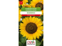 OSIVA Moravia Slnečnica ročná 
