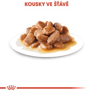 Royal Canin Mini Adult mokré krmivo: Kúsky mäsa v šťave pre malé psy.