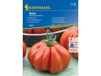 Kiepenkerl Paradajka jedlá Deko