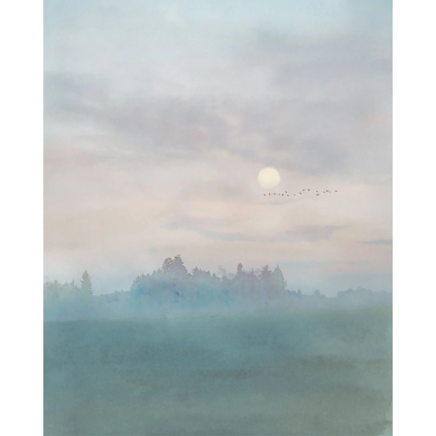 E-shop Komar Vliesová fototapeta Hazy Hush, 200 x 250 cm