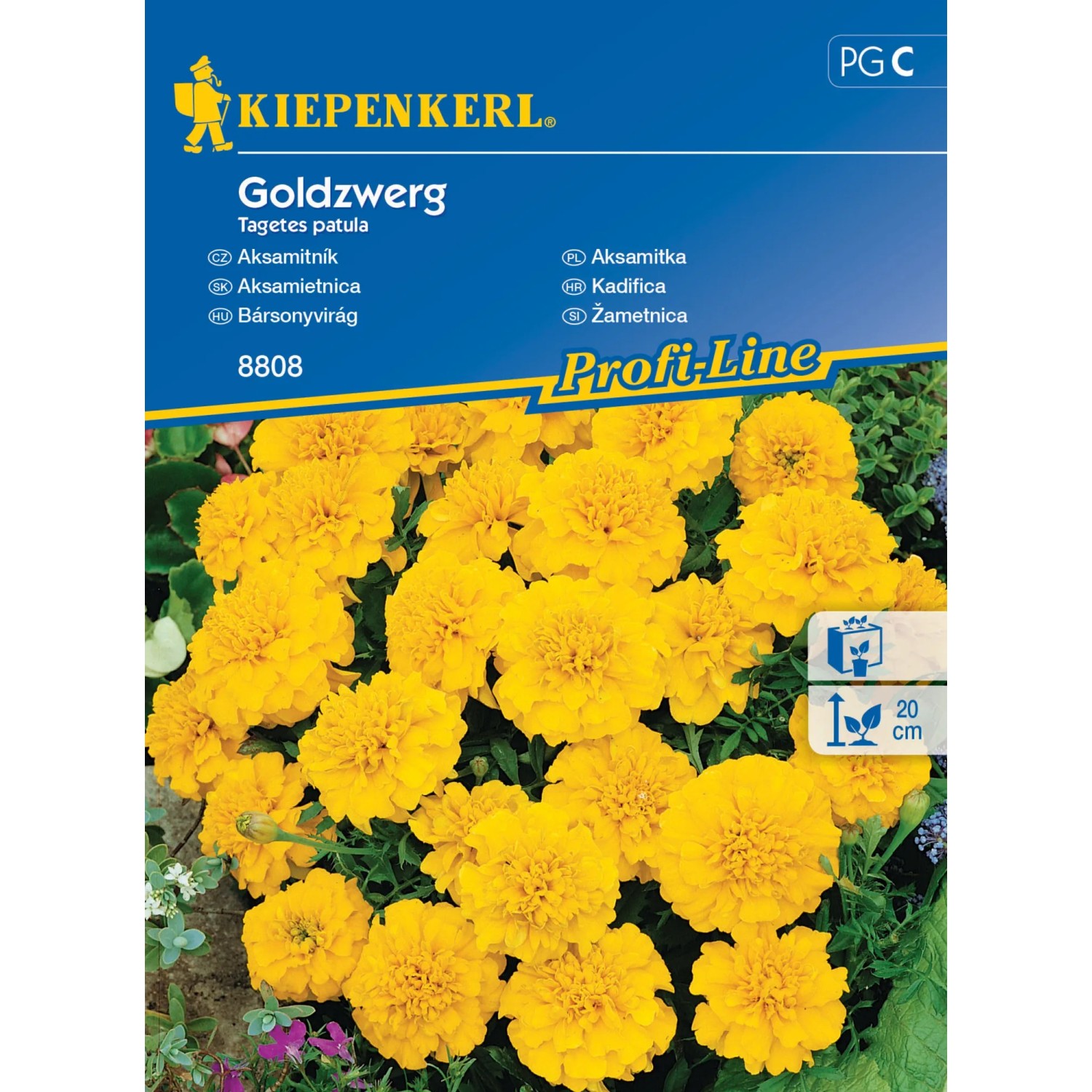 E-shop Kiepenkerl Semienka Aksamietnica Goldzwerg