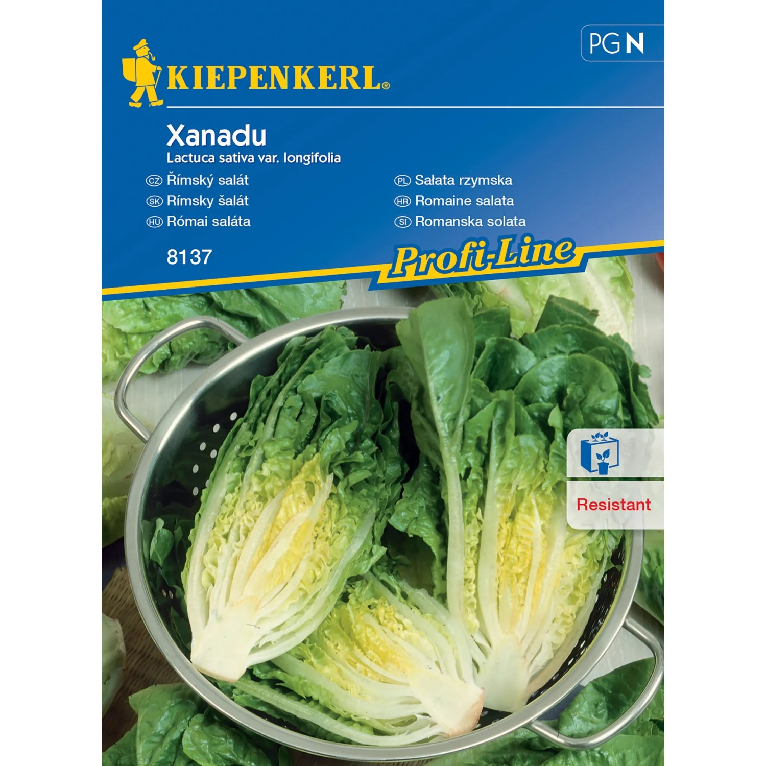 E-shop Kiepenkerl Rímsky šalát Xanadu