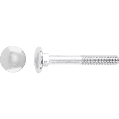 Vrátová skrutka M10 x 40 mm čiastočný závit bielo pozinkovaný - na váhu