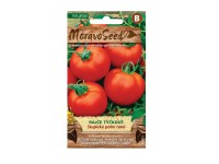 MoravoSeed Rajčiak kolíkový STUPICKÝ POĽNÝ SKORÝ