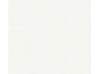 A. S. Creation Pretierateľná vliesová tapeta Meistervlies Creativ biela 323613