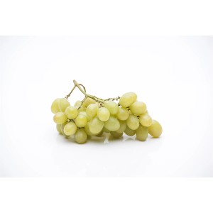 Čerstvé, zelené hrozno odrody GROW by OBI (Vitis vinifera), výška cca 80 cm.