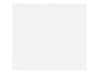 A. S. Creation Pretierateľná vliesová tapeta Meistervlies Creativ biela 245816