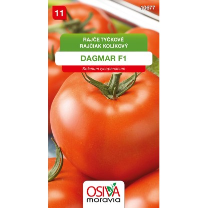 Semienka Rajčiak kolíkový Dagmar F1 (Solanum lycopersicum)