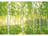 Komar Fototapeta Sunday 368 cm x 254 cm, 8-dielna