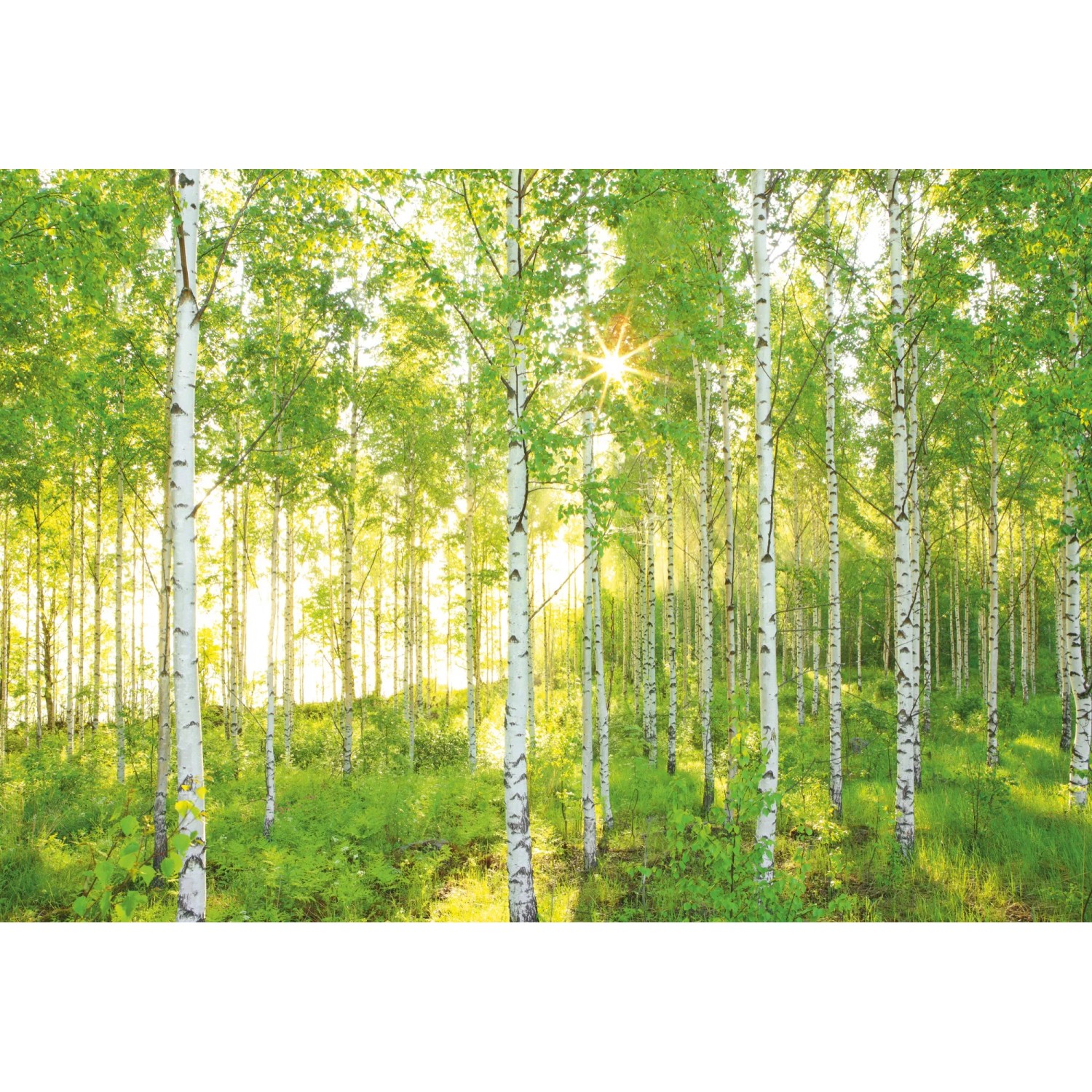 E-shop Komar Fototapeta Sunday 368 cm x 254 cm, 8-dielna