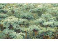 Komar Samolepiace vliesové fototapety Jungle Lands 400 x 250 cm