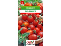 Semienka Rajčiak kríčkový Rio Grande (Solanum lycopersicum)