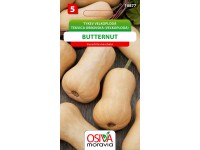 Semienka Tekvica obrovská (vel'koplodá) Butternut (Cucurbita moschata)