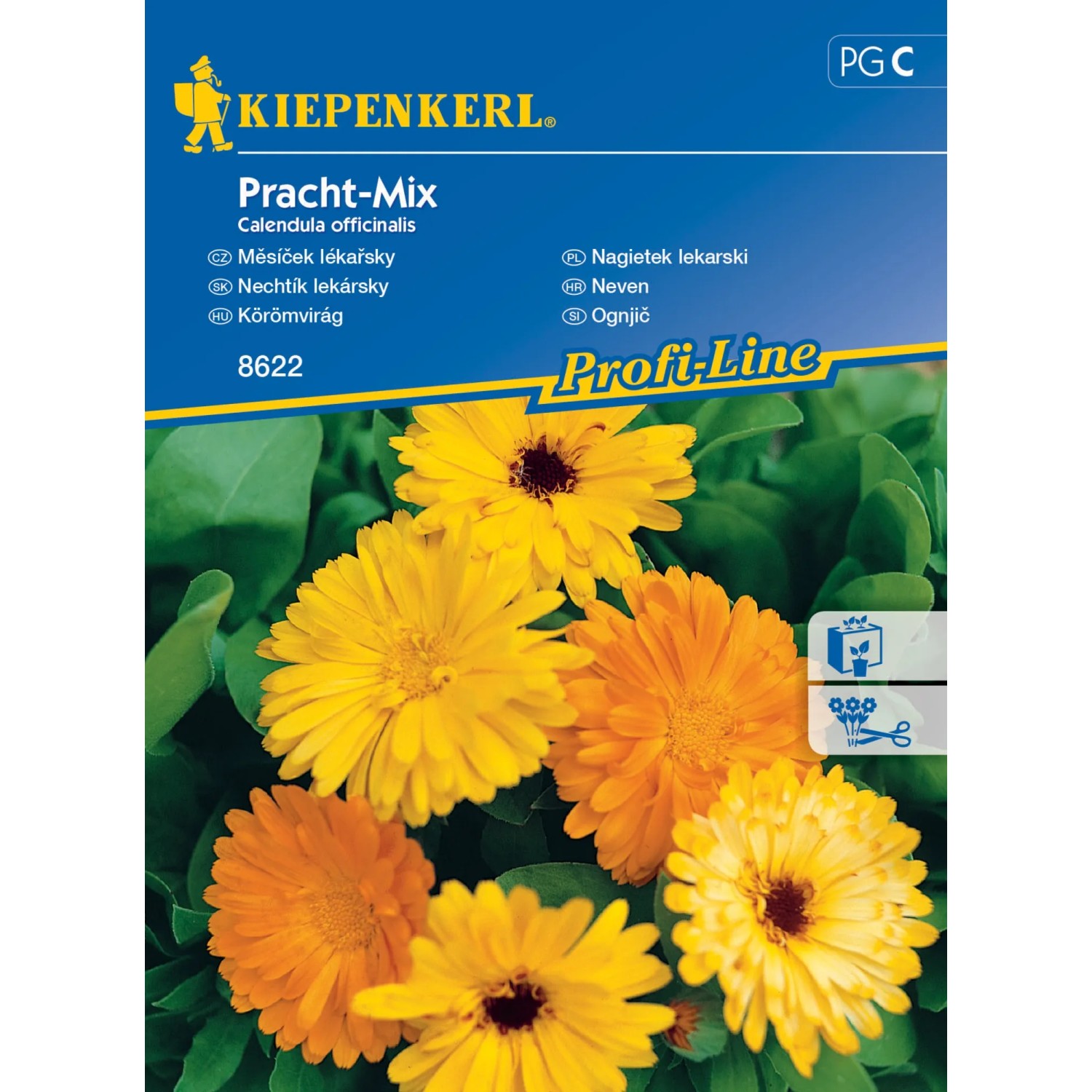 E-shop KIEPENKERL Nechtík lekársky (Calendula officinalis) Pracht-Mix
