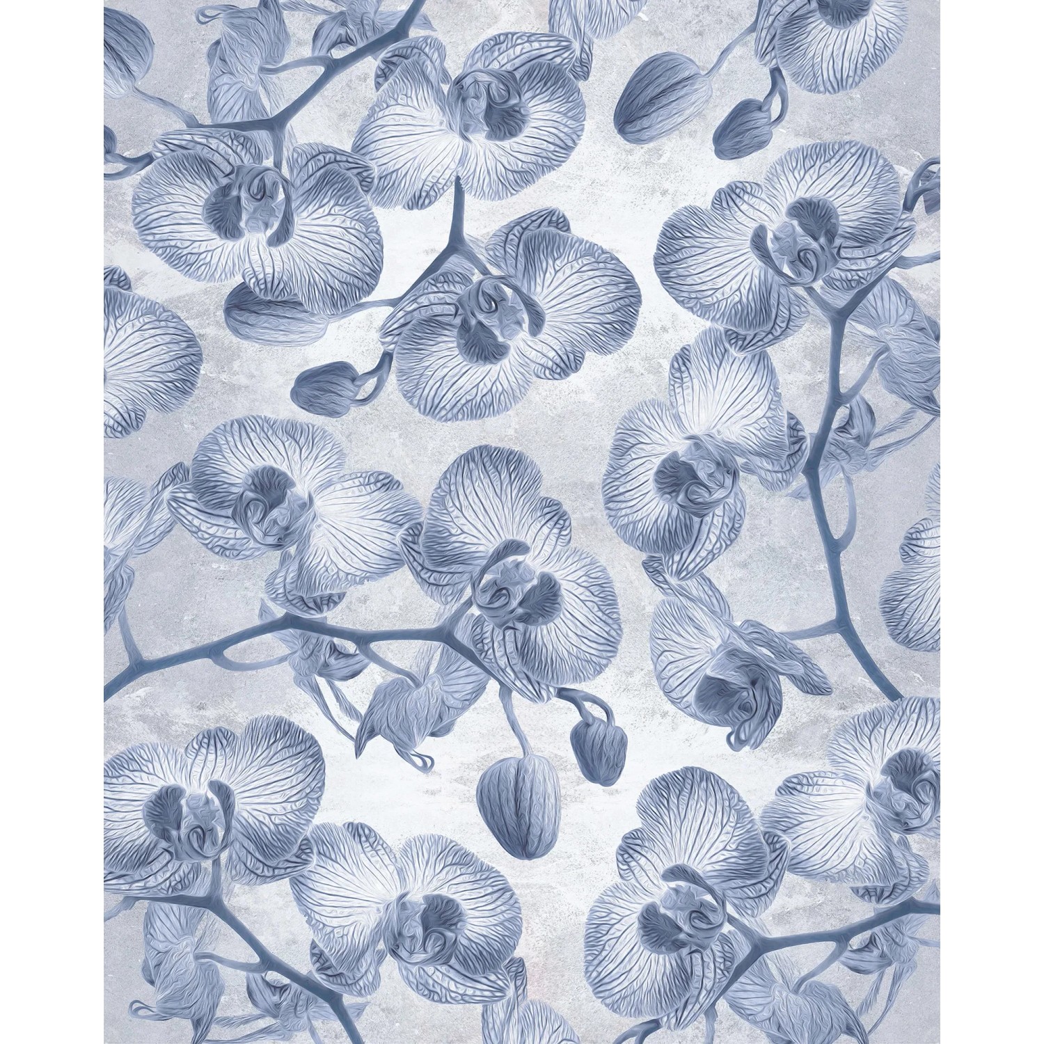 E-shop Komar Vliesová fototapeta Orchidée 200 x 250 cm