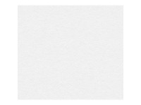 A. S. Creation Pretierateľná vliesová tapeta Meistervlies Creativ biela 316011