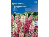Kiepenkerl Semienka Náprstník Excelsior-Hybriden