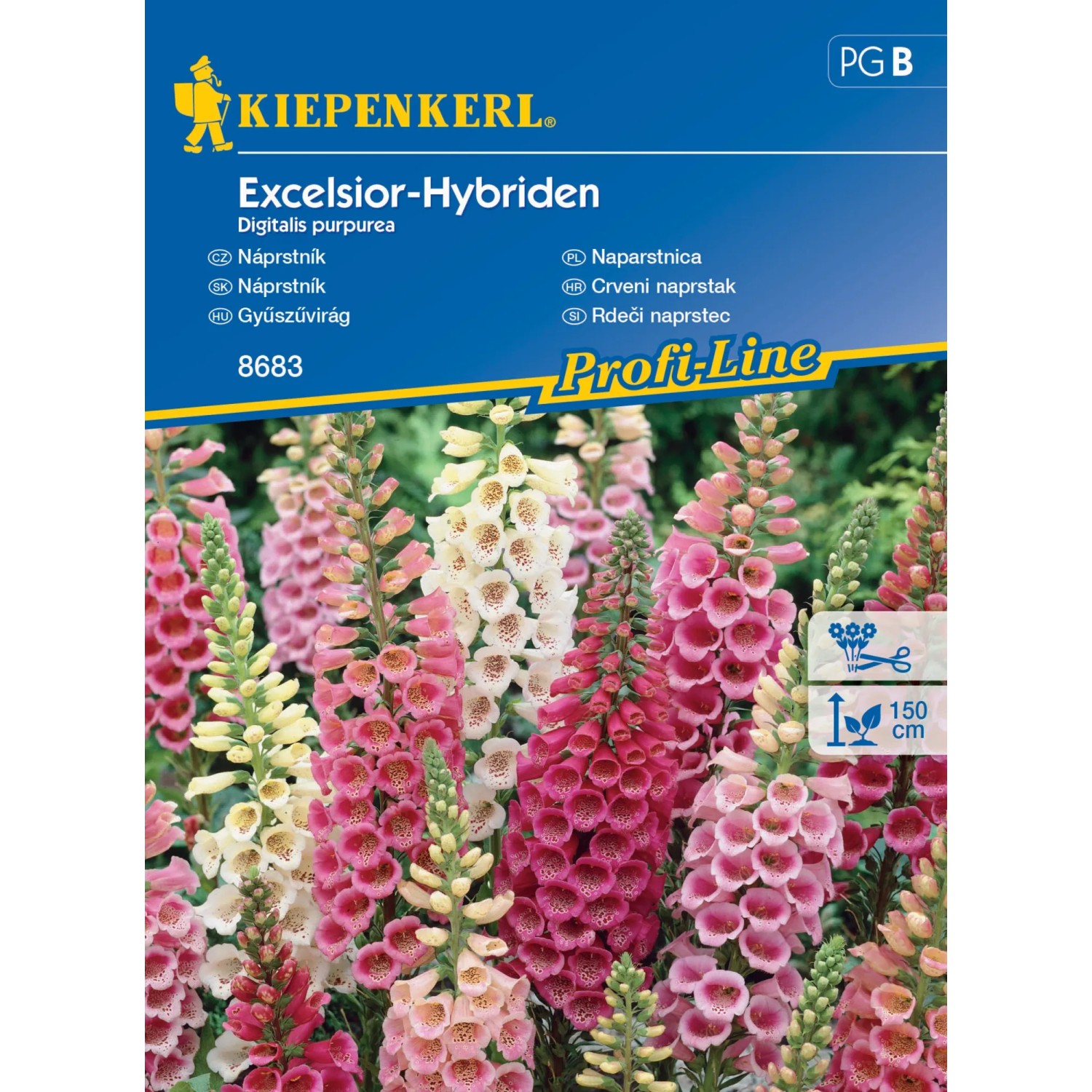 E-shop Kiepenkerl Semienka Náprstník Excelsior-Hybriden