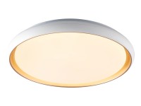 EURAKLES Stropné LED svietidlo HANA, 45 W, 2700 lm, 2700-6500 K, pr. 51 cm