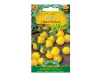 Gardenie Rajčiak kolíkový čerešňový GOLDKRONE žltý