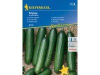 Kiepenkerl Šalátová uhorka Tristan