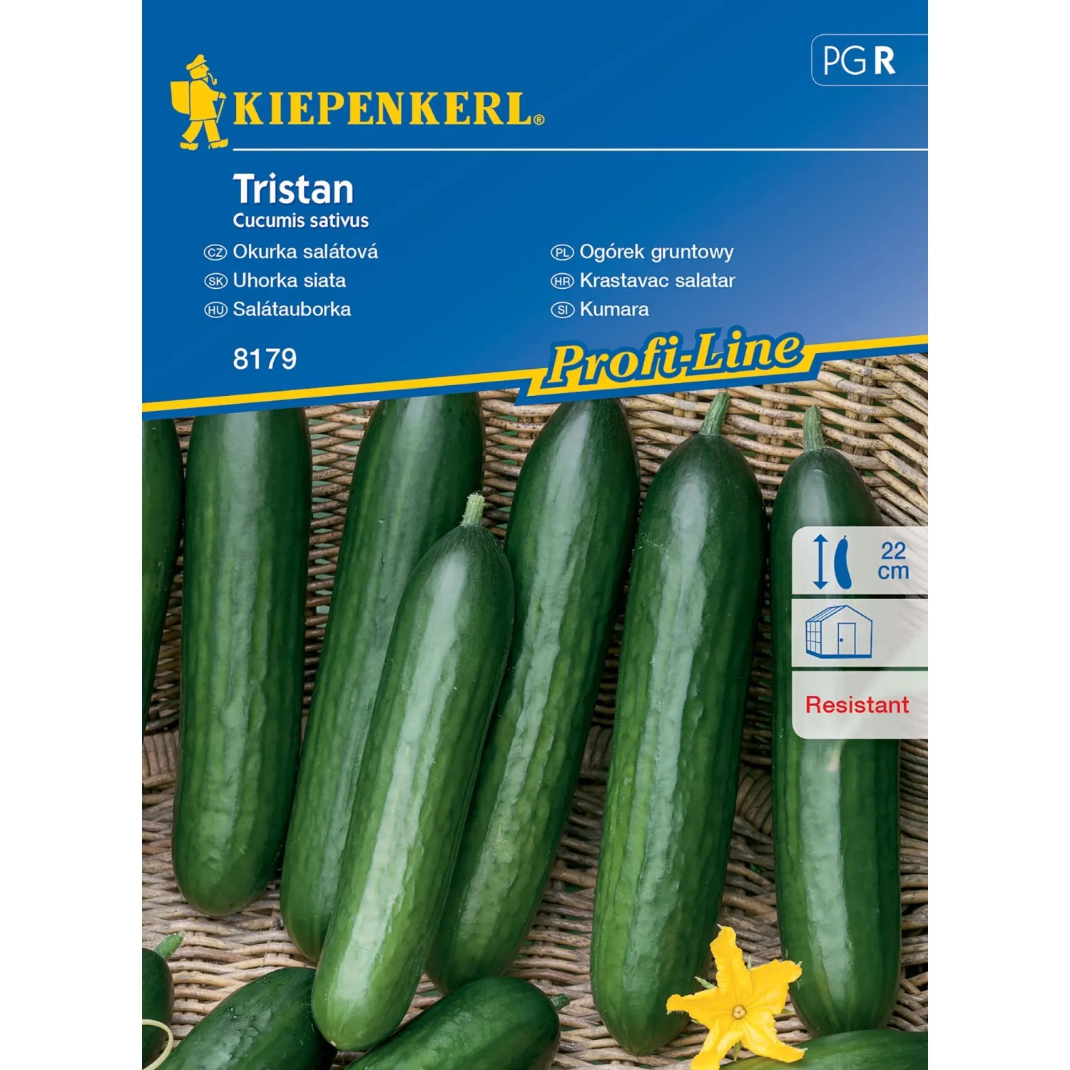 E-shop Kiepenkerl Šalátová uhorka Tristan