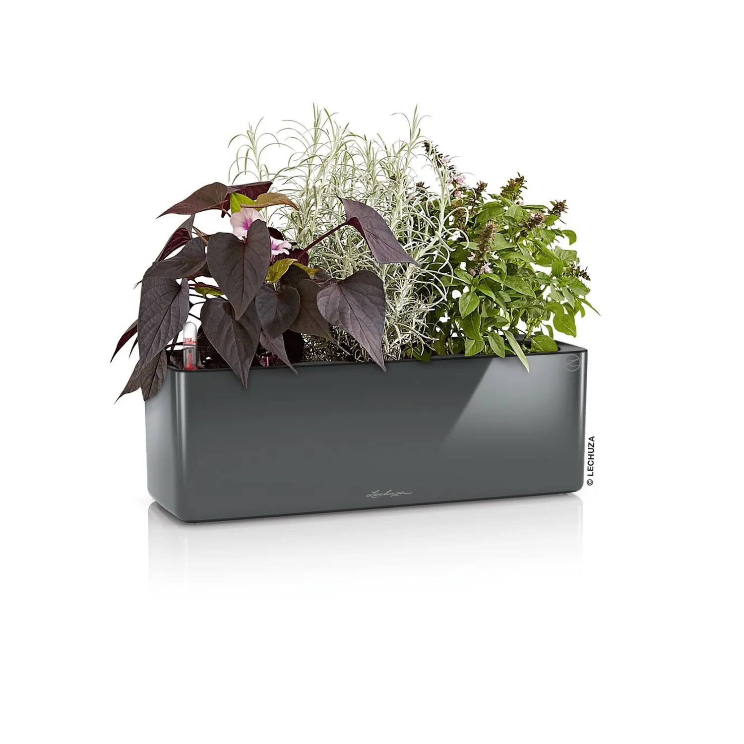 E-shop Lechuza Truhlík Cube Glossy Triple antracitový, 135 x 140 x 400 mm