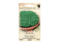 Nostalgie Žerucha siata Nostalgie Žerucha siata