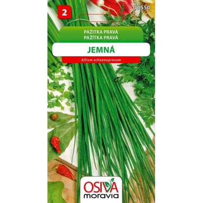 Semienka Pažítka pravá jemná (Allium schoenoprasum)