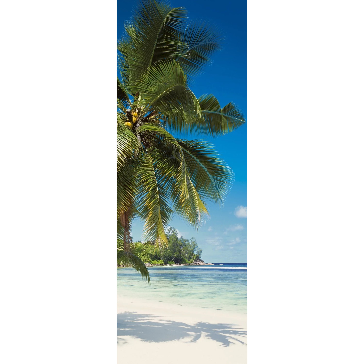 E-shop Komar Vliesová fototapeta Coconut Bay 100 x 280 cm