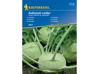 Kiepenkerl Semienka Kaleráb Delikateß weißer