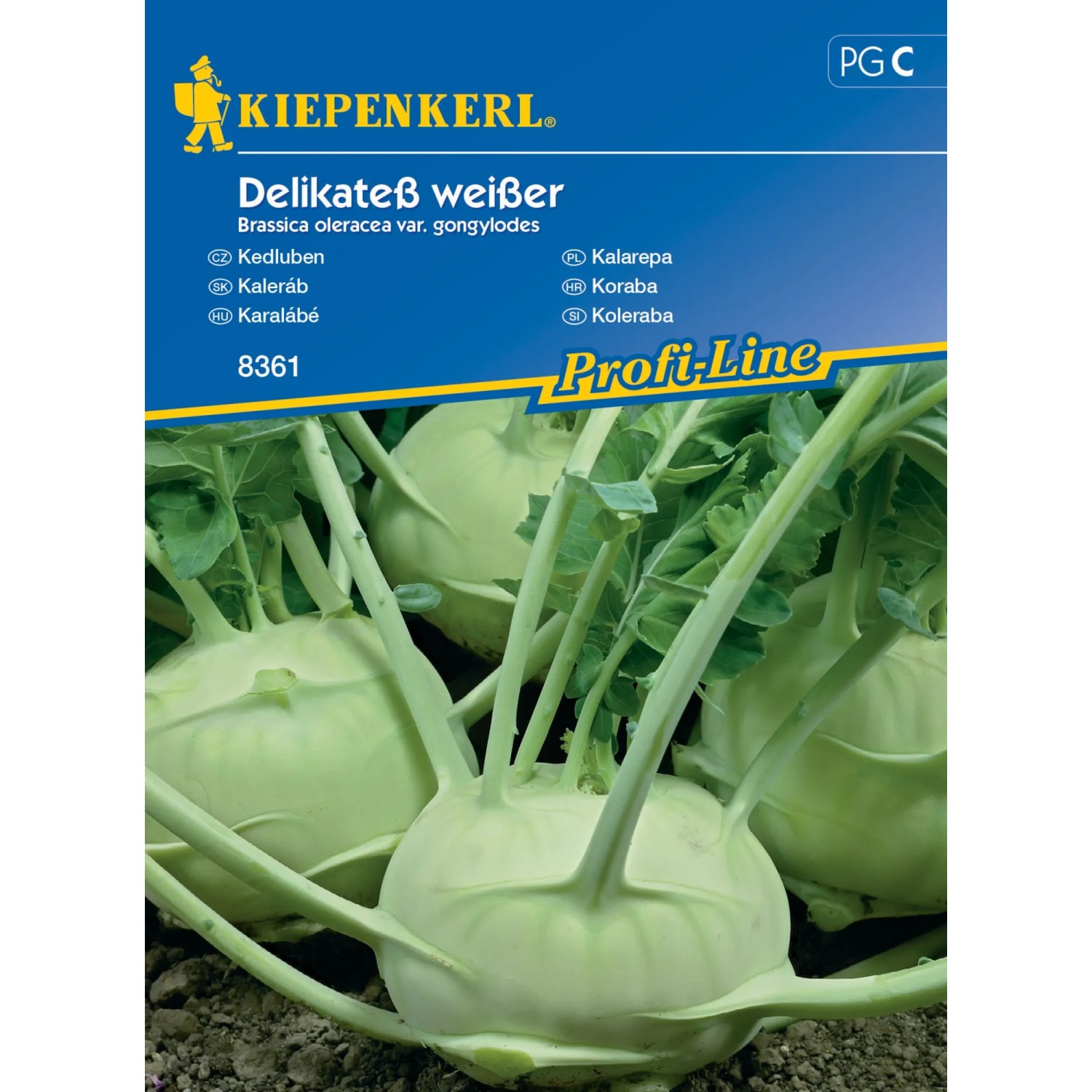 E-shop Kiepenkerl Semienka Kaleráb Delikateß weißer