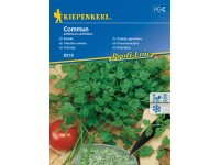 Kiepenkerl Semienka Trebuľka voňavá Commun