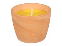 Sviečka CITRONELLA GUZMANIA 10 x 8 cm, 250 g