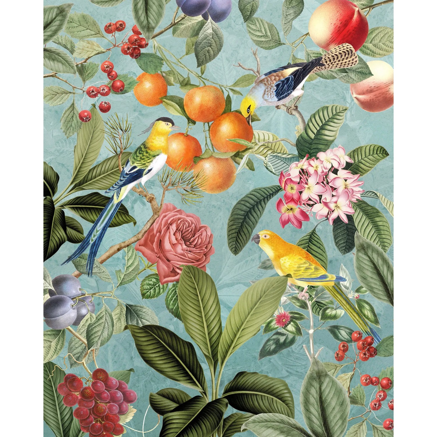 E-shop Komar Vliesová fototapeta Birds and Berries 200 x 250 cm
