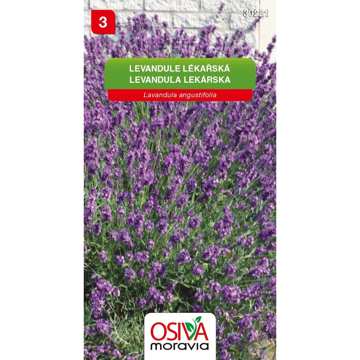 E-shop Osiva Moravia Semienka Levanduľa lekárska (Levandula angustifolia)
