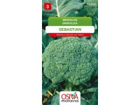 Semienka Brokolica Sebastian (Brassica oleracea var. italica)